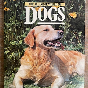 1978 “The All Color World of Dogs” by David Squire, Vintage Coffee Table Book with Dust Jacket