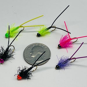 Winter Stonefly Nymph