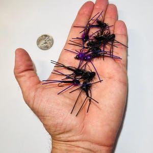 May include: A collection of black fishing flies with purple accents and long, thin black legs. The flies are displayed in a person's open hand, next to a quarter coin. The flies are designed for fly fishing.