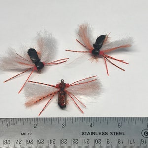 Three Periodical Cicada Dry Fly