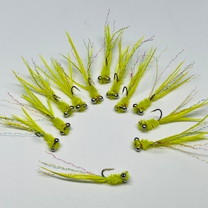 12 Snowhite Damsel Fly Nymphs