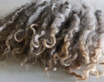 Wool locks NATURAL GRAY separated curls doll gnome hair various weight bjd blythe waldorf santa hair