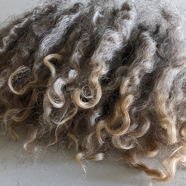 Wool locks NATURAL GRAY separated curls doll gnome hair various weight bjd blythe waldorf santa hair