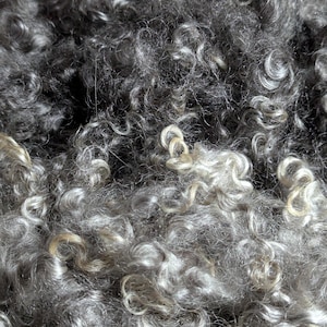 May include: Close-up of a pile of gray and off-white curly wool fibers. The fibers have a soft, textured appearance, with varying shades of gray and cream. The wool appears to be unprocessed and ready for crafting projects.