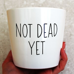 May include: White ceramic planter with black text that reads "Not Dead Yet".