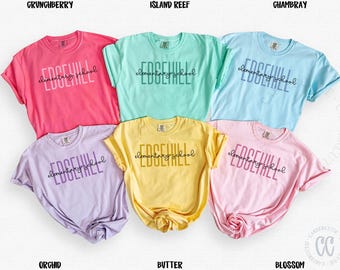 Custom School Name Shirt Comfort Colors Back to School Teacher T-shirts, Personalized Elementary School T-shirts Teacher Team Tees