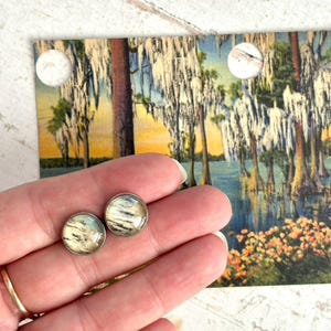 May include: A pair of round stud earrings with a silver-tone setting. The earrings feature a cream and black pattern. The earrings are held in front of a vintage postcard with a swamp scene.