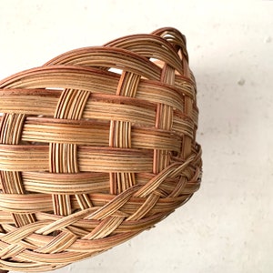 Vintage Braided Rattan Plant Basket, Planter, Woven Boho Home Decor, Plant Holder, Desk Office Storage, Farmhouse, Ombré Warm Tones