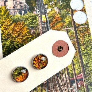 May include: A pair of silver stud earrings with round glass cabochons featuring a vintage image of autumn leaves in shades of yellow, orange, and green.