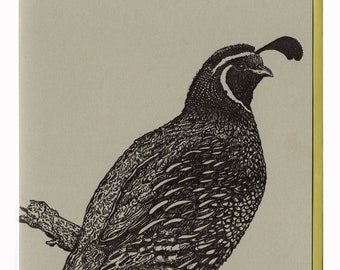 California Quail (Male) Letterpress Card Original Illustration