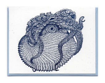 May include: A blue and white illustration of an octopus curled around a nautilus shell. The illustration is drawn in a detailed, stippled style.