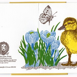 Duckling, Butterfly and Crocus Card Letterpress Printed with Original Illustration Yellow, Blue, Brown and Green image 3