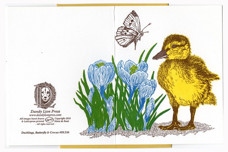 Duckling, Butterfly and Crocus Card Letterpress Printed with Original Illustration Yellow, Blue, Brown and Green image 3