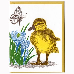 Duckling, Butterfly and Crocus Card Letterpress Printed with Original Illustration Yellow, Blue, Brown and Green image 1