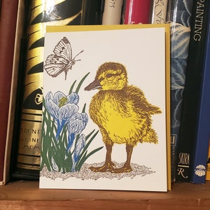 Duckling, Butterfly and Crocus Card Letterpress Printed with Original Illustration Yellow, Blue, Brown and Green image 5