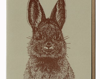 Cottontail Rabbit Card Letterpress Greeting Card Original Illustration