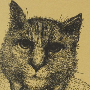 Ben&#39;s Cat
