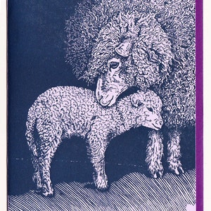 Lavender Ewe and Lamb Card image 2