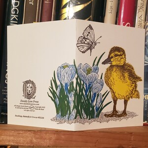 Duckling, Butterfly and Crocus Card Letterpress Printed with Original Illustration Yellow, Blue, Brown and Green image 6