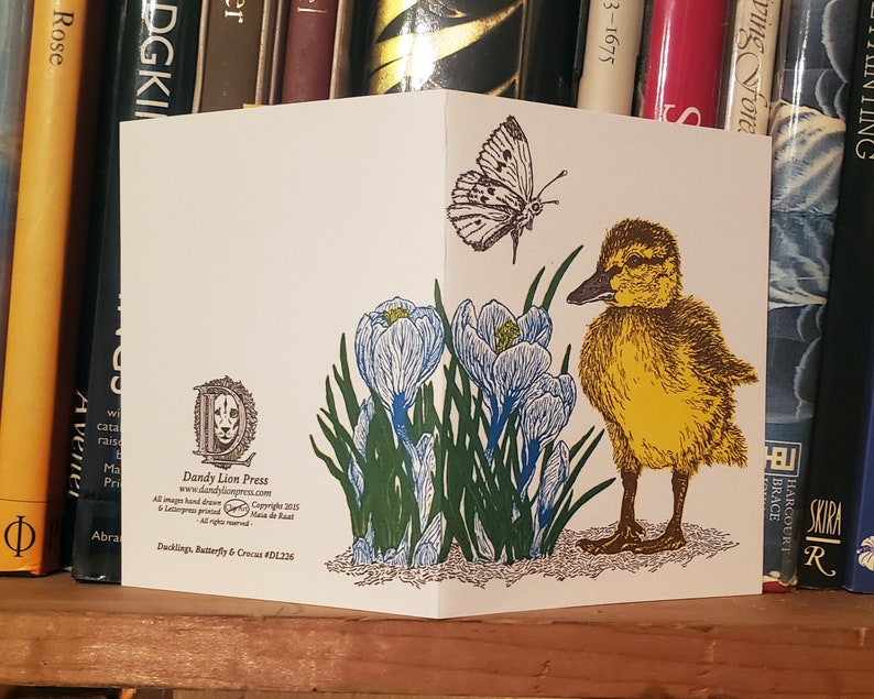 Duckling, Butterfly and Crocus Card Letterpress Printed with Original Illustration Yellow, Blue, Brown and Green image 6