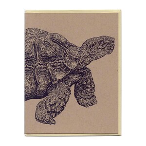 May include: A greeting card featuring a detailed pen and ink illustration of a tortoise. The tortoise is depicted in profile, with intricate patterns on its shell and skin. The card has a tan background with a cream-colored border.