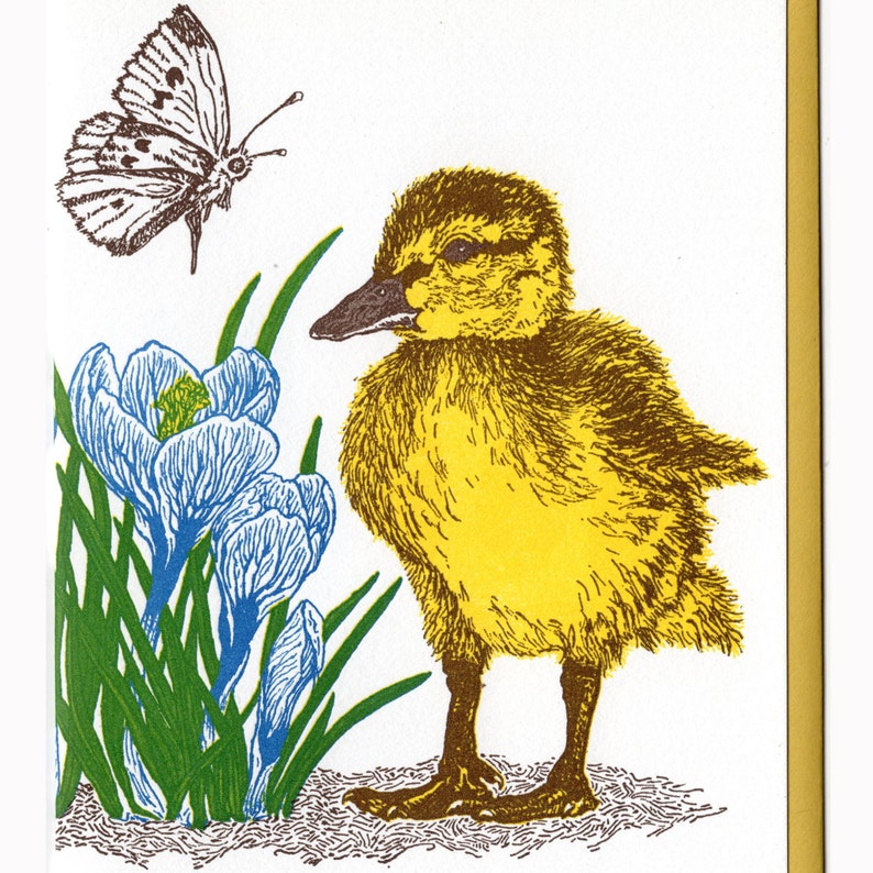 Duckling, Butterfly and Crocus Card Letterpress Printed with Original Illustration Yellow, Blue, Brown and Green image 2