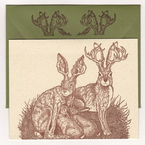 Box Set of 6 Bunnylopes Cards Original Illustrations Letterpress Printed Jackalopes image 5