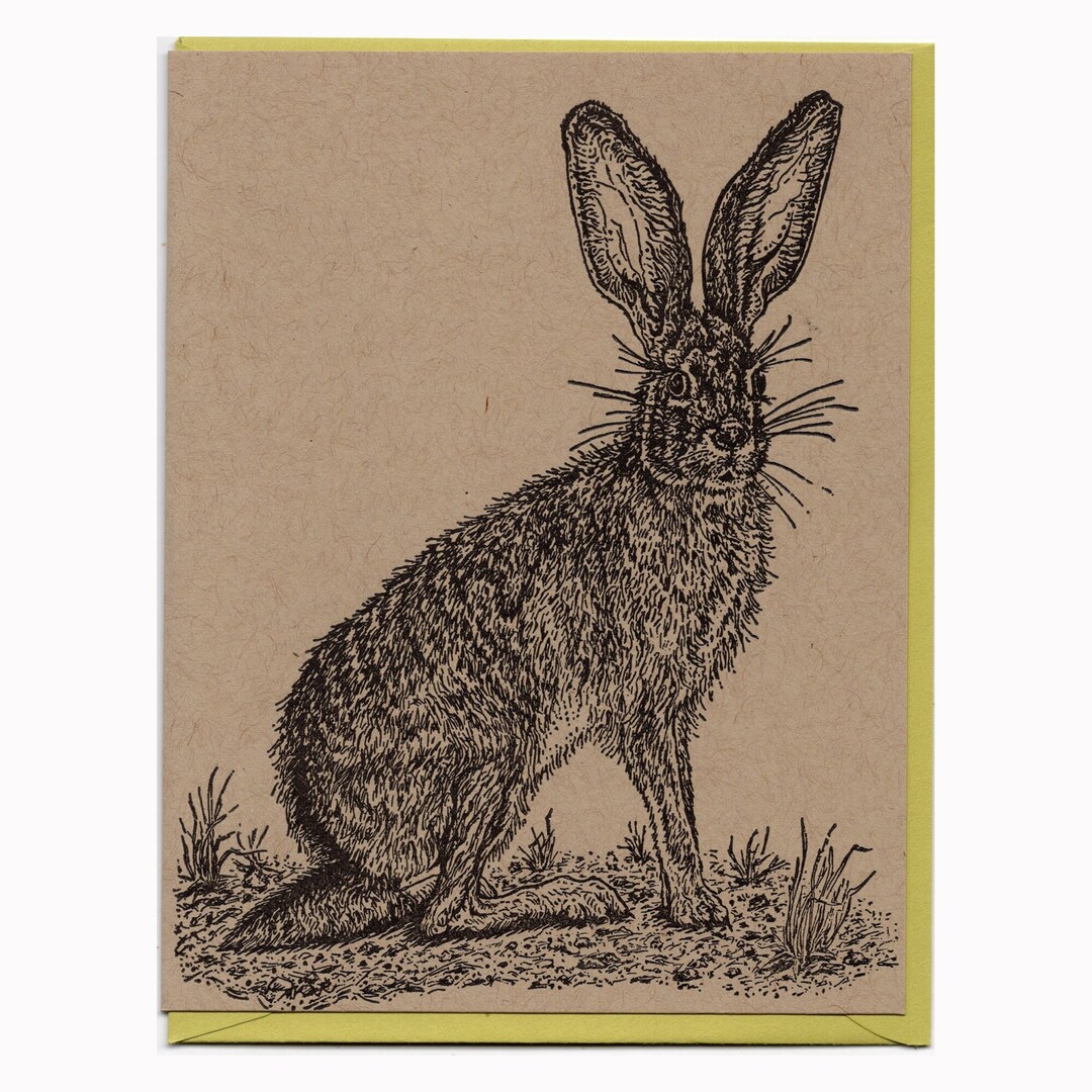 Black-tailed Jackrabbit Card Letterpress Printed Original Illustration ...