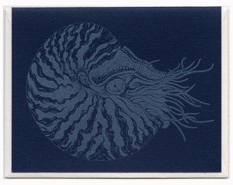 May include: A blue nautilus shell with intricate details and a swirling pattern. The shell is on a dark blue background.