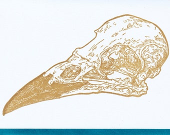 Crow Skull Blue Card Letterpress Printed with Original Illustration