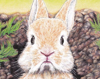 Missing You! Bunny Card from an Original Pen and Colored Pencil Drawing Orange Rabbit