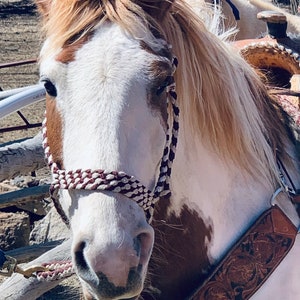 Showman® Braided Mule Tape Halter brown main image 0