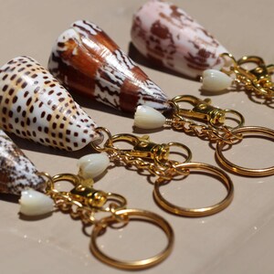 May include: Four keychains featuring cone-shaped seashells with distinct brown, white, and tan patterns. Each shell is attached to a gold-toned metal chain, a small lobster clasp, a tiny white accent bead, and a circular gold-toned metal keyring.