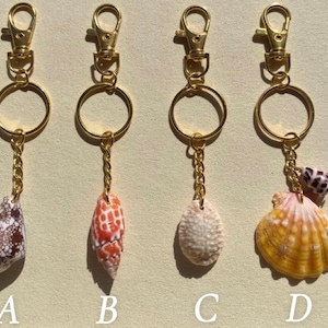 May include: Four gold-toned metal keychains featuring distinct seashells. Keychain A has a brown patterned cone shell, B has an orange patterned cone shell, C has a textured white shell, and D has a large yellow fan shell with a small spotted shell.