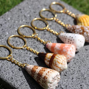 May include: A collection of five keychains featuring various cone-shaped seashells attached to gold-toned metal rings and chains. Each shell displays unique natural patterns and colors, including brown, white, orange, and yellow, arranged in a row.