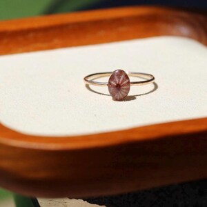 Brown False Opihi Limpet Shell Ring Size 6, 14k Gold Filled Ocean Jewelry, Resin Sealed Shell