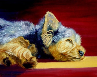 Yorkshire Terrier dog Yorkie puppy Giclee Fine Art Print 10&quot;x8&quot;