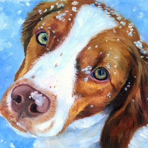 May include: A close-up portrait of a brown and white dog with green eyes, looking directly at the viewer. The dog is covered in snow, and the background is a light blue.