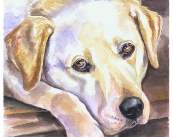 Labrador Retriever dog Giclee Fine Art Print