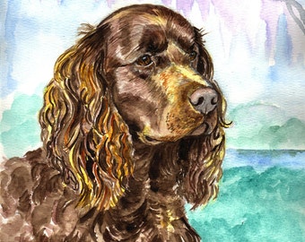 American Water Spaniel Giclee Fine Art Print