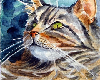 Maine Coon Cat Giclee Fine Art Print by Lyn
