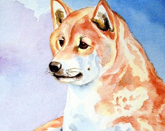 Shiba Inu Dog Giclee Fine Art Print by Dog Art by Lyn