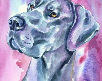 Blue Great Dane dog Giclee Fine Art Print