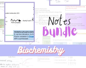 Ensemble de notes de biochimie, guide d'étude de biochimie, téléchargement numérique
