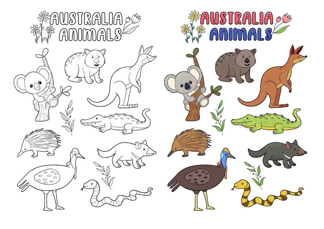 Australian Animals Coloring Book: Kids Activity Placemat (digital ...