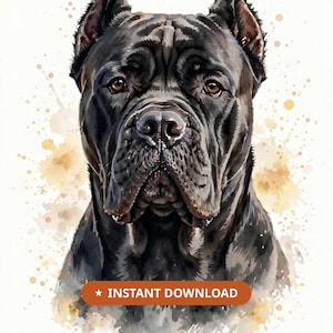Könnte beinhalten: Eine Aquarell-Illustration eines schwarzen Cane Corso Hundes mit braunen Augen, ausgeprägter Schnauze und Schlappohren. Unter dem Hund befindet sich ein orangefarbener rechteckiger Button mit dem weißen Text "INSTANT DOWNLOAD" und einem Stern.