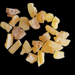 Amber Copal Gemstones | 5 pc set