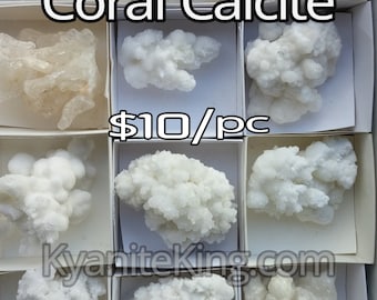 CORAL CALCITE *White Mineral specimens 1 Pc