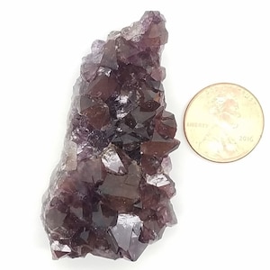 Prachtige donkere Amethist kwarts kristallen Cluster | A-Grade | Canadese Thunder Bay