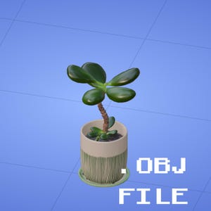 May include: A digital 3D model of a jade plant in a cylindrical pot with a textured green base and a matching saucer. The plant has a thin brown stem and several smooth, dark green, oval-shaped leaves. The text .OBJ FILE is visible.